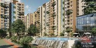 Model Flat Images